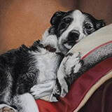 Toby by Dotty Earl